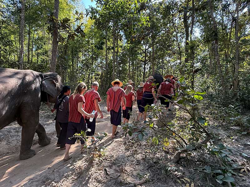 Guests bathing an elephant