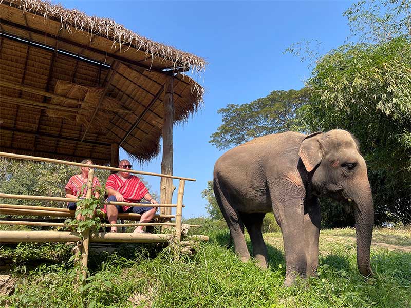 Elephant and mahout