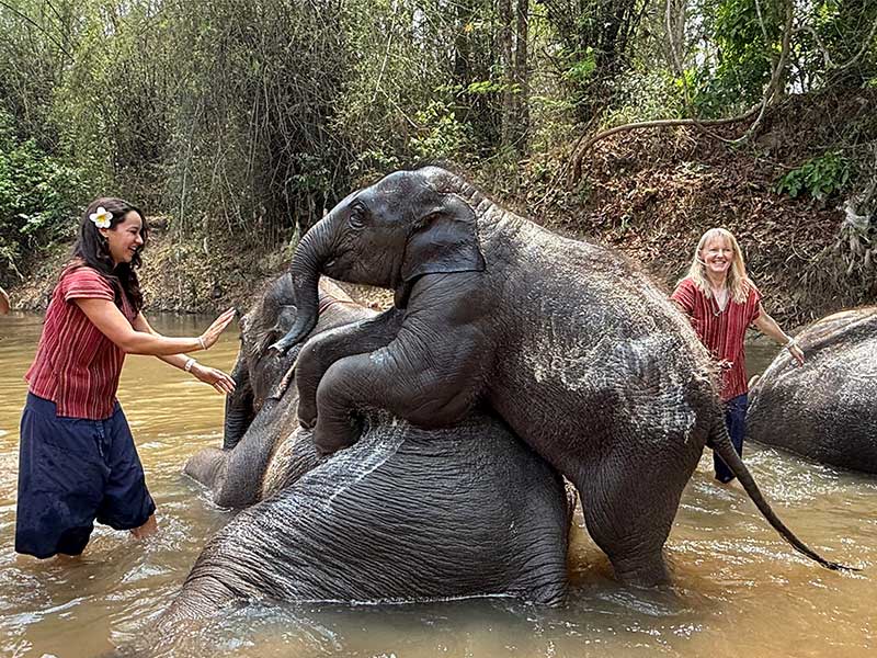 Group with elephant
