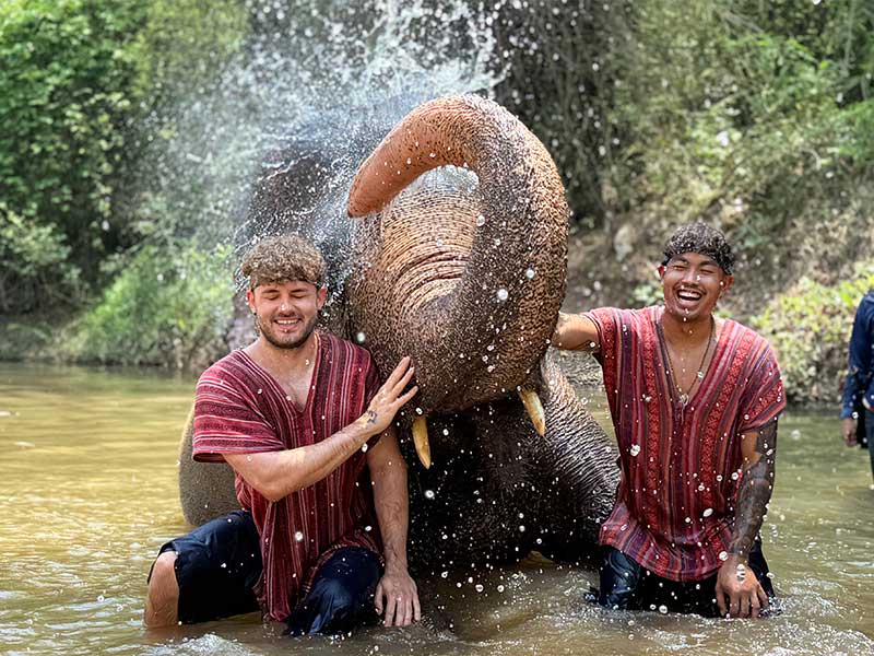 Elephant at Maerim Elephant Home