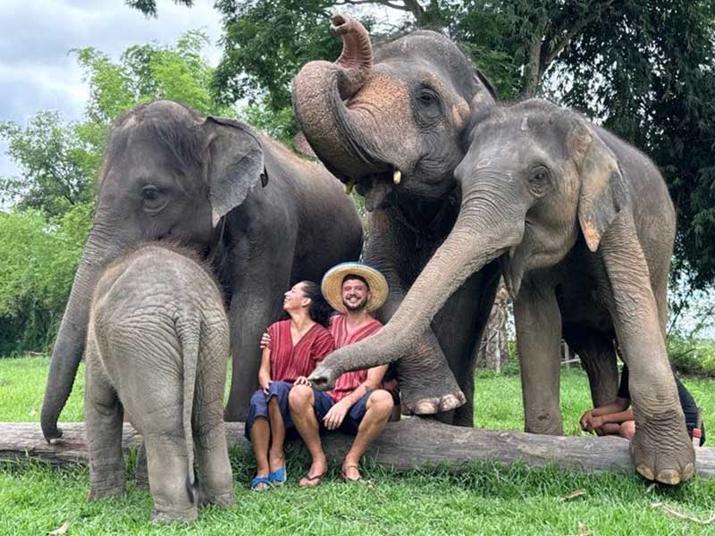 Elephant bathing in the river