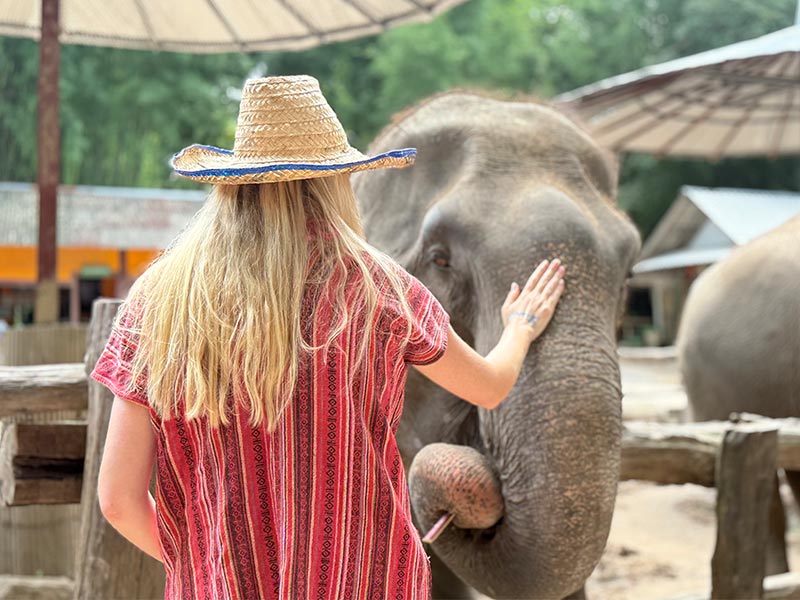 Guests walking with an elephant